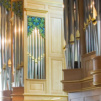 Case detail